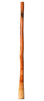 Ironbark Didgeridoo (IB274)